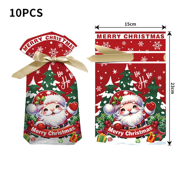 Santa Christmas gift bag, medium 15 x 23 cm, 10 pack
