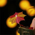 files/s-l1600_7a0ce8d8-8eca-4b01-a9a7-eee45520c333.jpg
