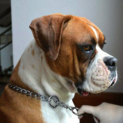 Dog Choke Chain – Chrome Slip Check Training Collar Chain