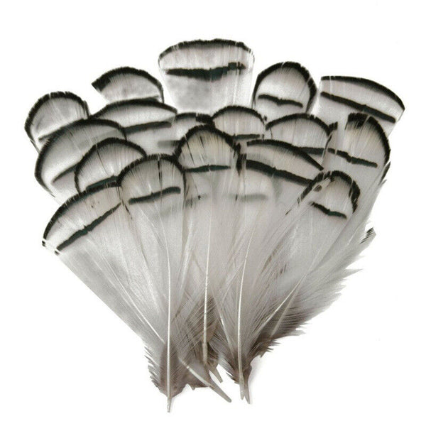 BULK 40pcs Hackle Chukar 5-8cm Black White Pheasant Feathers DIY Craft Flytying