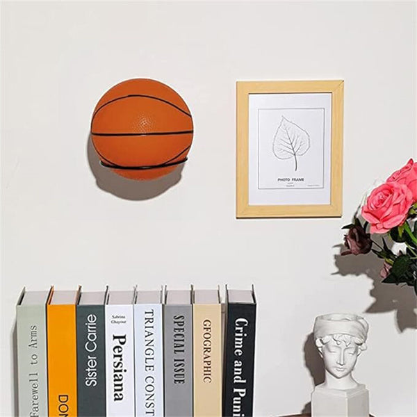 2 Pack Wall Mount Ball Holder