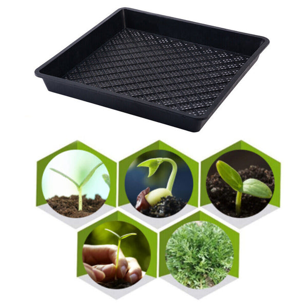 Seedling Tray Fine Hole Plant Propagation Seedling Hydroponic 42x42x5.5cm