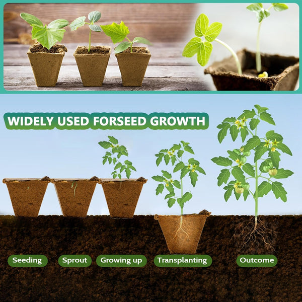 30x 12 Holes Biodegradable Paper Seedling Pots Seed Tray Garden Nursery AU