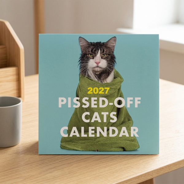 Cat calendar 2027 cover standing on a desk
