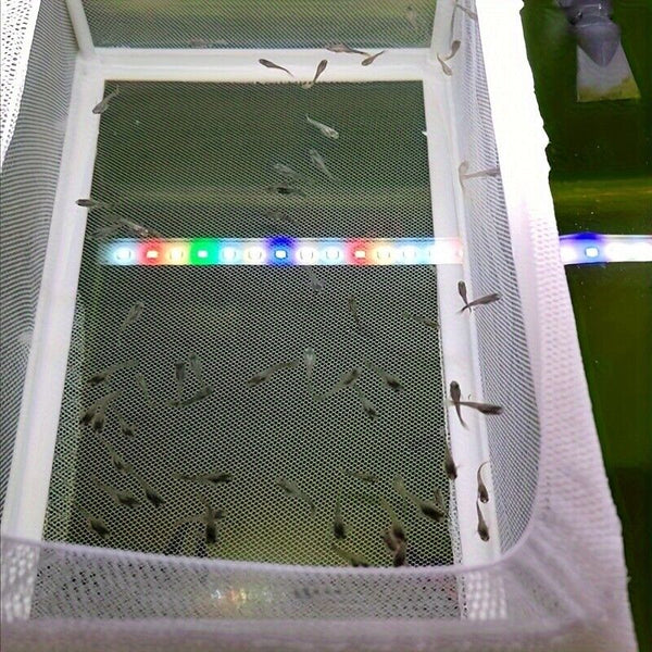 2PCS Aquarium Fish Breeding Box White Isolation Net PVC Hatchery Tool Species