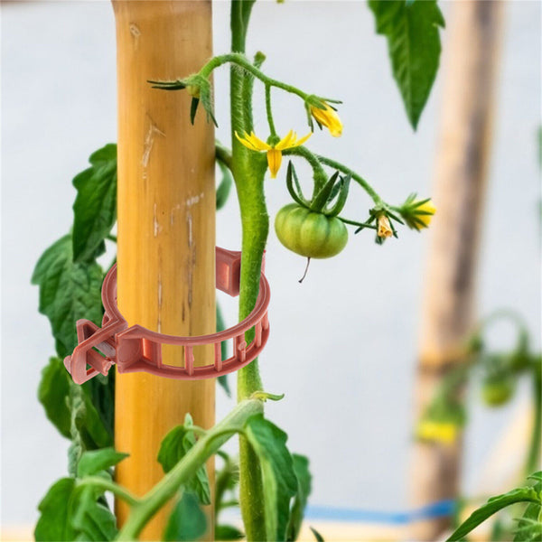 200PCS Tomato Greenhouse Ties Veggie Plant Support Clips Garden trellis Stake AU