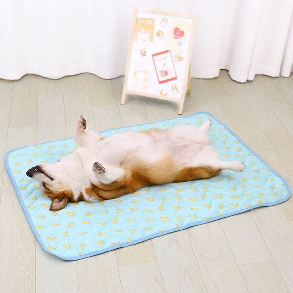 Dog lying on its back on a blue cooling mat