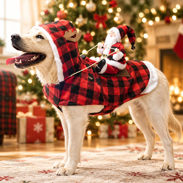 Dog in a red check Santa riding costume in front of a Christmas tree