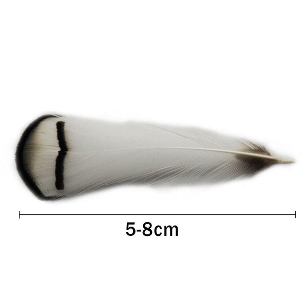 BULK 40pcs Hackle Chukar 5-8cm Black White Pheasant Feathers DIY Craft Flytying