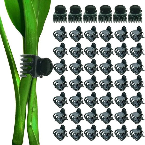 80PCS Orchid Supporting Fixed Stake Clip Set Grow Upright Stake Healthy Plant AU