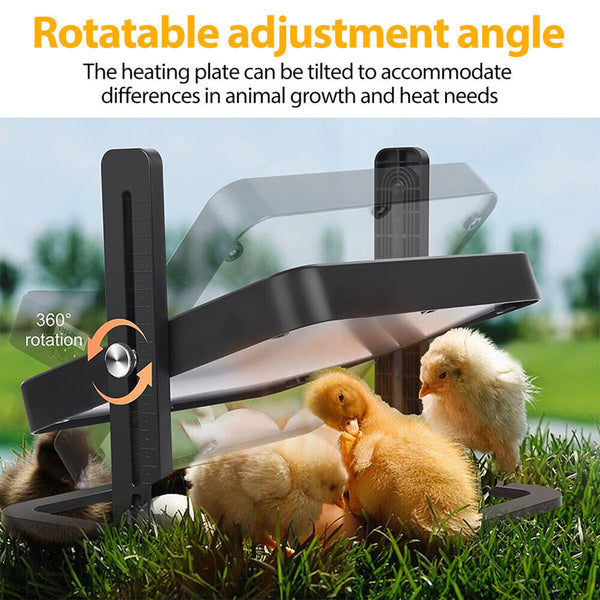 Chick Brooder Heating Plate – Adjustable Poultry Coop Warmer
