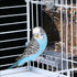 files/s-l1600_8a182073-c52c-47a3-9c54-b53b451db6a3.jpg