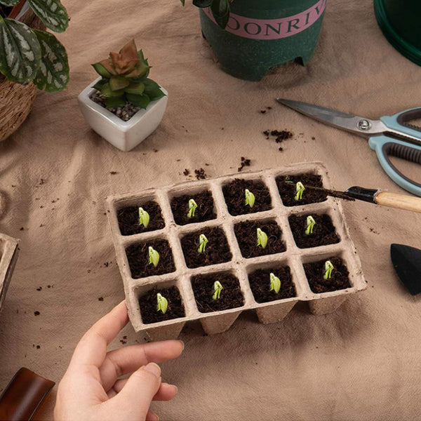 30x 12 Holes Biodegradable Paper Seedling Pots Seed Tray Garden Nursery AU