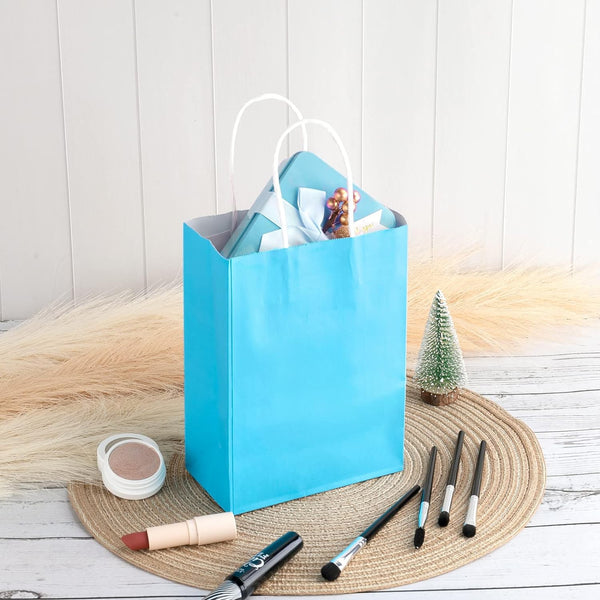 100PCS Sky Blue Kraft Paper Bags with Handles – Gift & Shopping Carry Bags