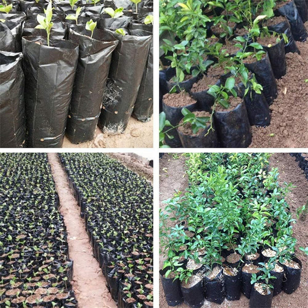 300PCS Plant Grow Bags PE Seedling Nursery Bags with Breathable Drainage Holes