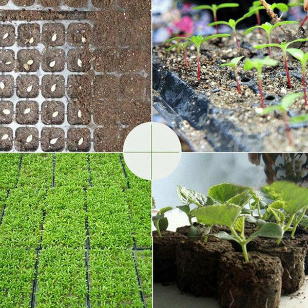 5X 72 Hole Plant Seed Grow Box Insert Propagation Nursery+100x Plant Seed Labels