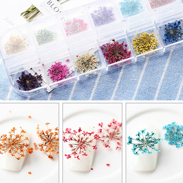 24pcs 12 Colours Dried Flowers Manicure Nail Art Decoration DIY Tips Nail Decals