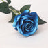 files/s-l1600_90e95290-0db1-426c-959a-0395c901a3b6.jpg