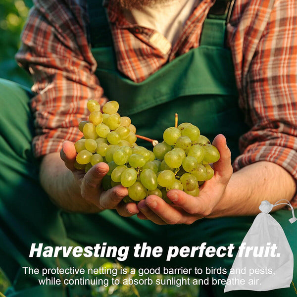 100-1000x Grape Protection Mesh Bags Fruit Vegetable Against Insect Waterproof
