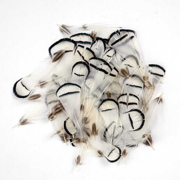 BULK 40pcs Hackle Chukar 5-8cm Black White Pheasant Feathers DIY Craft Flytying