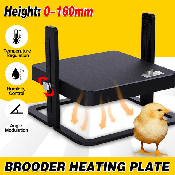Chick Brooder Heating Plate – Adjustable Poultry Coop Warmer