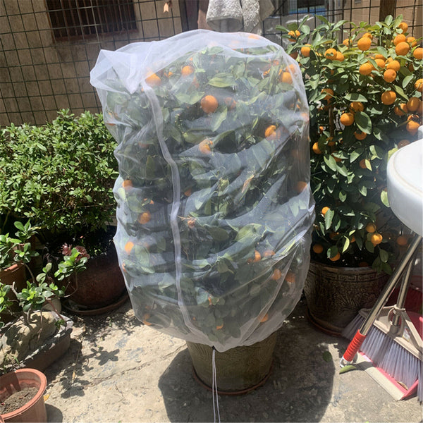 Plant Tree Fruit Cover Bug Net Barrier Bag Vegetable Protection Barrier Cover AU