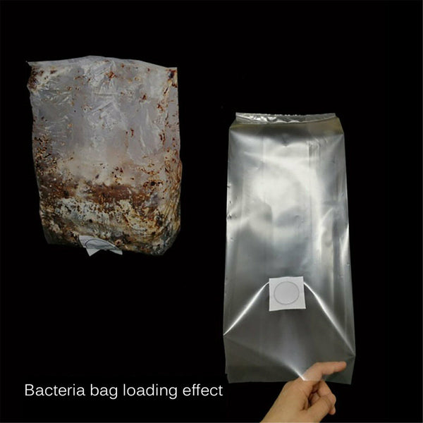Mushroom Grow Bag Grains Spawn Substrate High Temp Pre Sealable 50x25cm