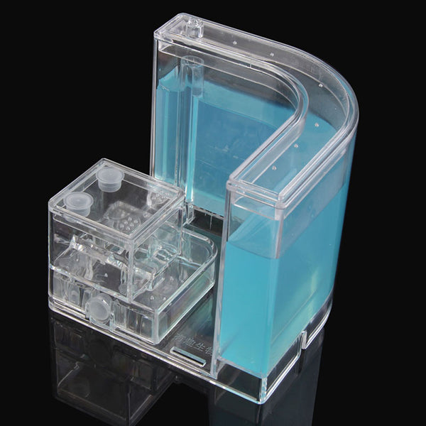 Blue gel ant farm side view with the curved tank and maze room