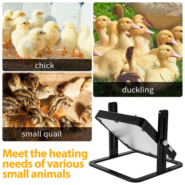 Chick Brooder Heating Plate – Adjustable Poultry Coop Warmer