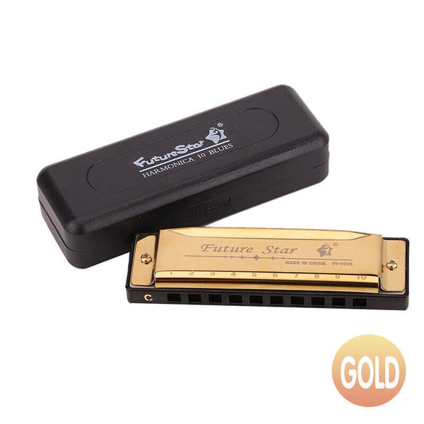 10 Hole Harmonica Blues Musical Instrument for Beginners and Professionals AU