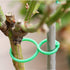 120X Garden Plant Clip Tomato Tie Stem Orchid Support Weatherproof Grow Training