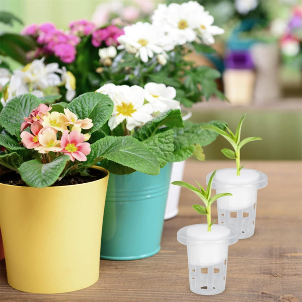 50PCS Hydroponic Net Cups with 48 Sponges Mesh Pot Baskets Aeroponic Grow System