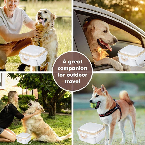 2PCS Portable Pet Food and Water Bowl Collapsible Travel Dog Cat Feeding Bowl