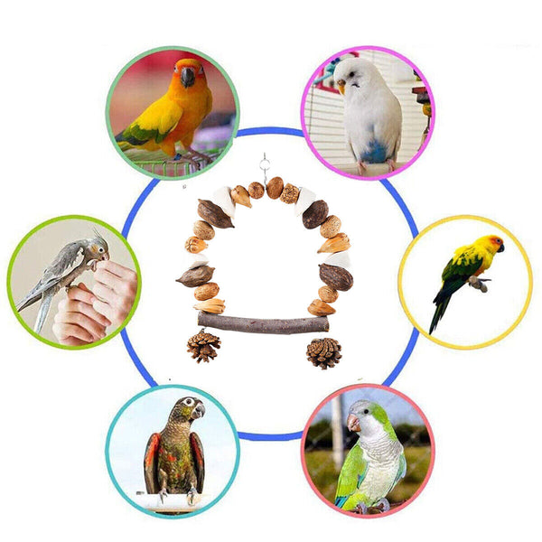 Parrot chew toy for training climbing grinding teeth relief durable bird toy