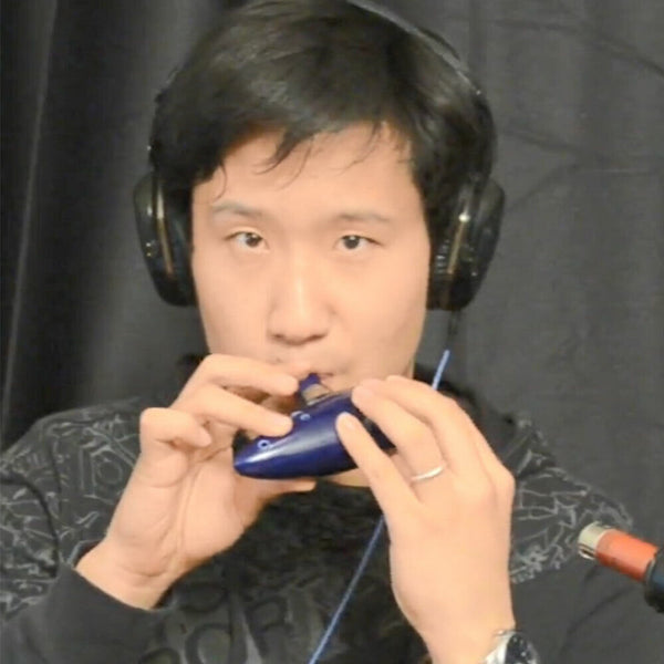 12Hole Ceramic Legend of Zelda Wind Alto C Ocarina Gift Instrument Flute Blue