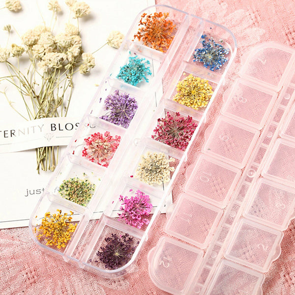 24pcs 12 Colours Dried Flowers Manicure Nail Art Decoration DIY Tips Nail Decals