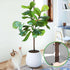 files/s-l1600_a1eebba3-037f-4632-a369-1675fdb6a271.jpg