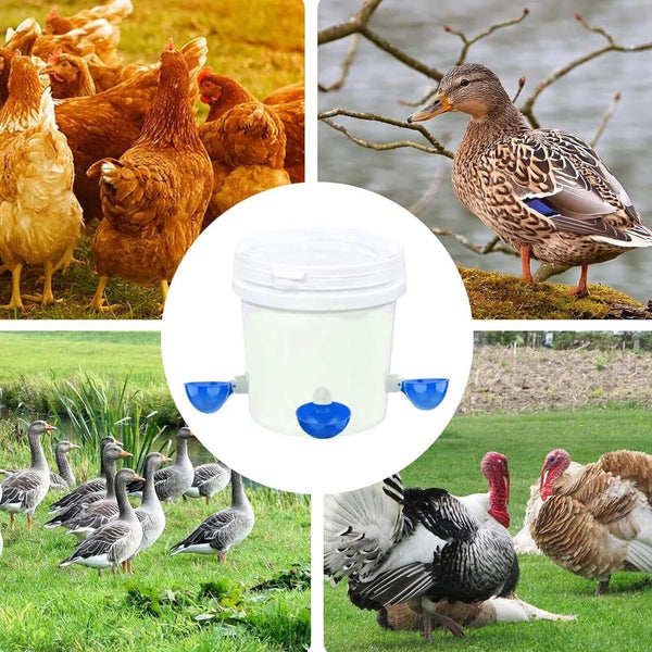 20PCS Automatic Chicken Water Cup Waterer Poultry Drinker Feeder Drinking Bowl A