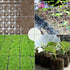 files/s-l1600_aa9a8d2a-216c-48ab-af87-0ecb89a563e9.jpg