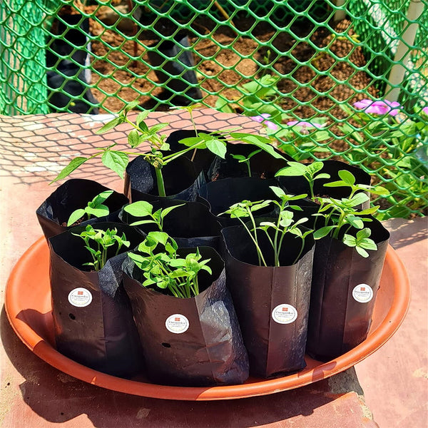 300PCS Plant Grow Bags PE Seedling Nursery Bags with Breathable Drainage Holes