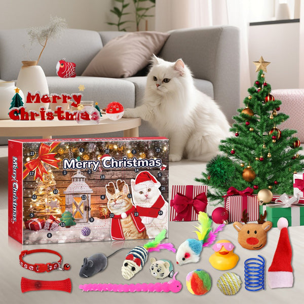 White cat in a living room with the cat advent calendar and toys laid out