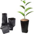 300PCS Plant Grow Bags PE Seedling Nursery Bags with Breathable Drainage Holes