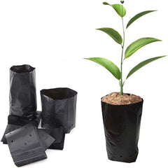 300PCS Plant Grow Bags PE Seedling Nursery Bags with Breathable Drainage Holes