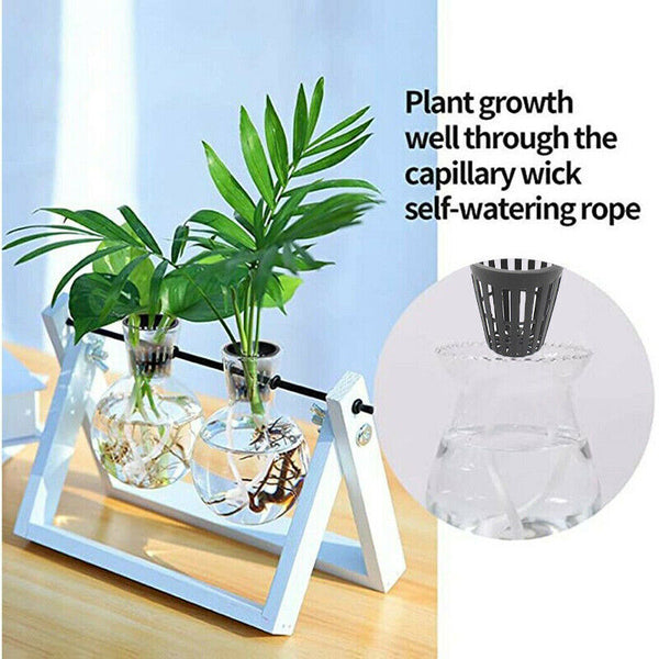 40pcs Hydroponics Plant Grow Net Cup Mesh Pot Basket Mesh Aeroponic Aquaponic AU