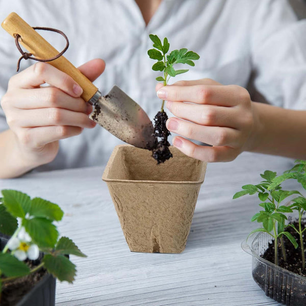 100PCS Seed Starter Peat Gardening Seedling Cup + 100PCS Plant Seed Labels