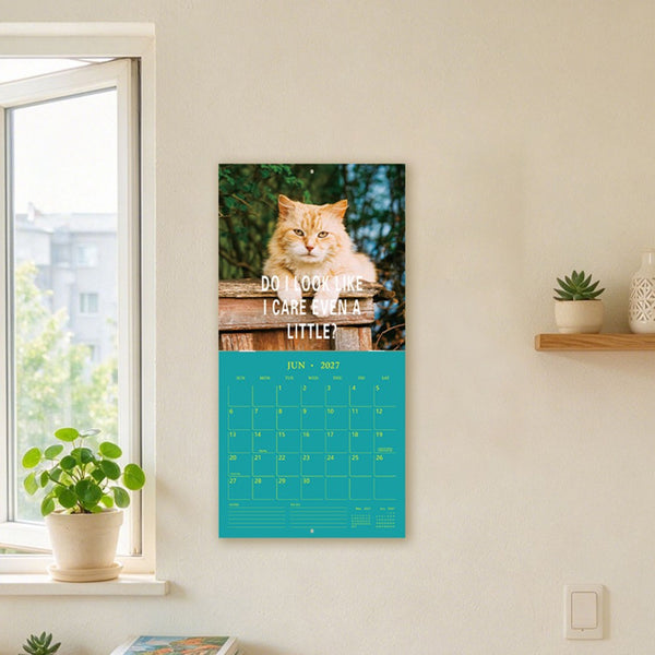 2027 cat wall calendar June page hanging on a wall beside a window