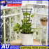20pc Garden Plant Climbing Trellis Vegetables Flowers Support For Plant Ties Pot