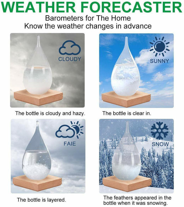 Storm Glass Weather Weather Glass Predictor Home Décor Forecaster Unique Office