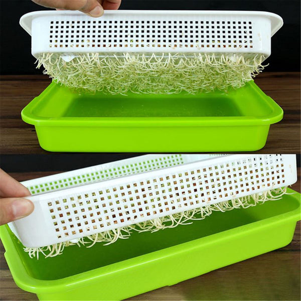 1PC Seed Sprouter Tray with Lid BPA Free Bean Sprout Grower Sprouting Seeds Tray
