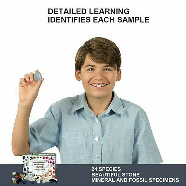 Christmas Advent Calendar Xmas Blind Box Rock Ore Mineral Fossil Stone Kit